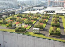 屋顶绿化会对建筑本身结构有影响吗？