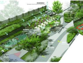推进生态城市建设，“雨水街坊”将成为未来居住景观？