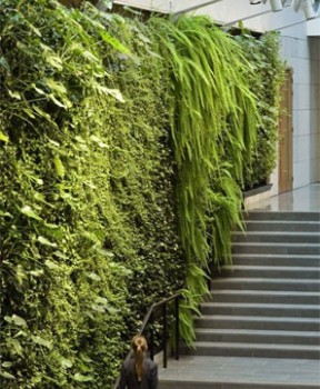 植物墙垂直绿化提升