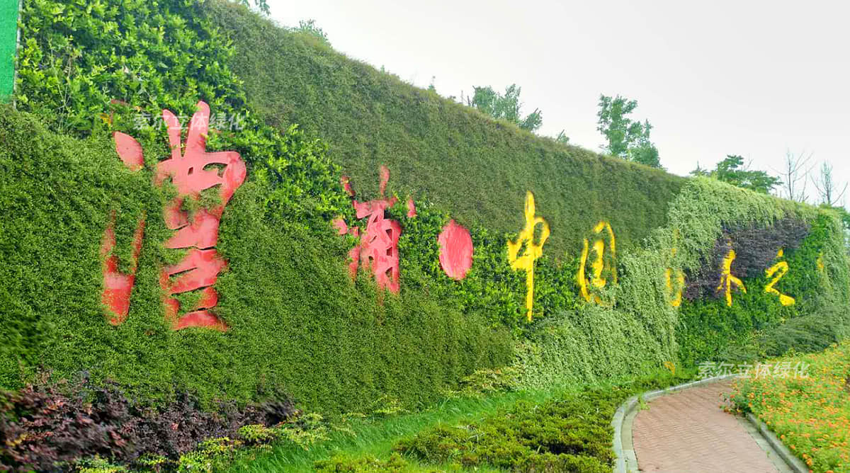 金华苗木城植物墙项目