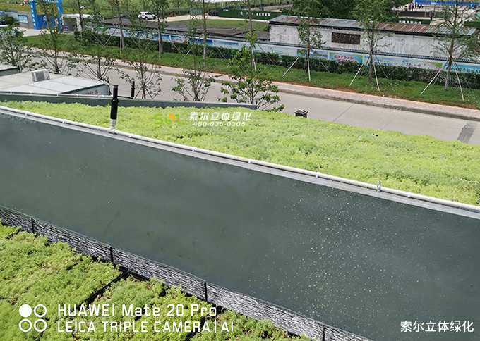 老旧小区改造中,立体绿化景观提升要点