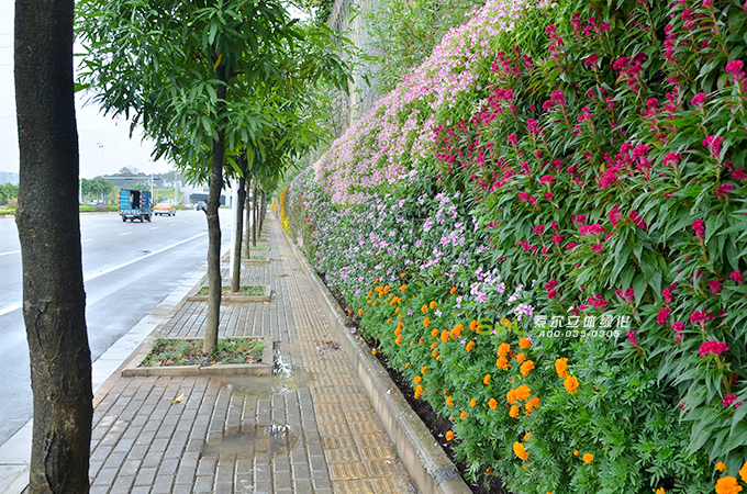 12 索尔广西南宁道路围挡垂直绿化植物墙.jpg