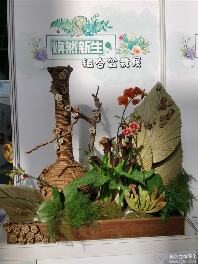 第二十二届中国国际花卉园艺展-索尔 (6).jpg