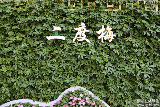 05 2020年9月河北邯郸丛台公园5012植物墙项目（AI）.jpg
