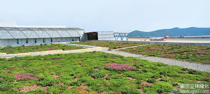 28西班牙伊比沙岛机场航站楼屋顶绿化02.jpg