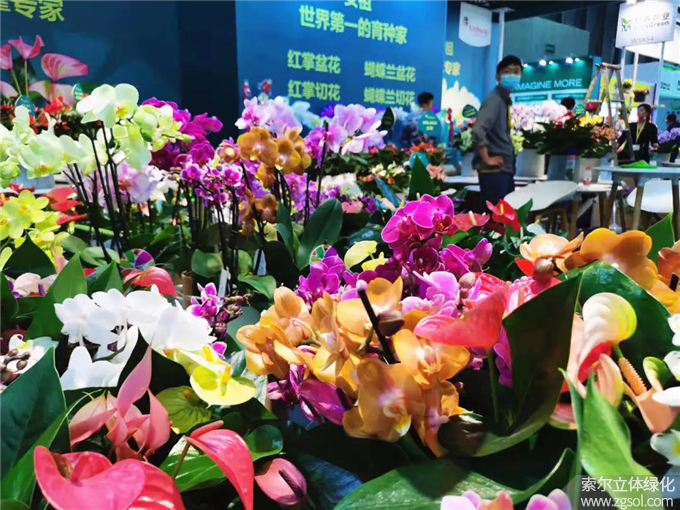 07 2021年4月15-17日第二十三届中国国际花卉园艺展览会上海.jpg