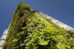 酒店宾馆景观提升植物墙垂直绿化
