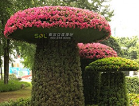 移动花园知多少？