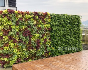 杭州西溪谷商务中心屋顶花园工程案例