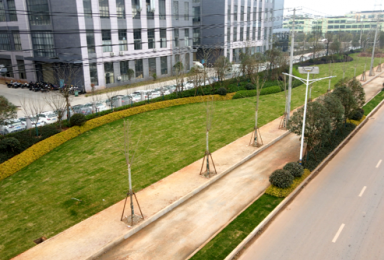 《境坝工业园大道》——南康城市道路景观提升