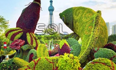 公园景观提升