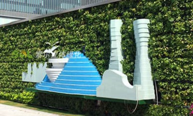 道路围墙植物墙