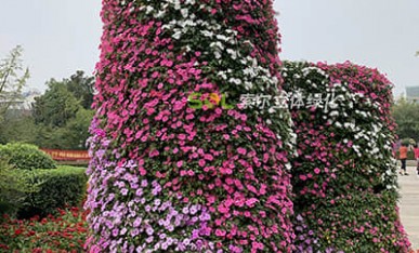 国庆广场景观提升