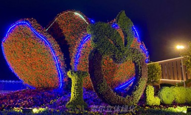 夜景下的立体花坛《幸福花开》