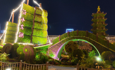 项目夜景展示