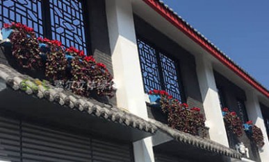 窗台阳台绿化美化