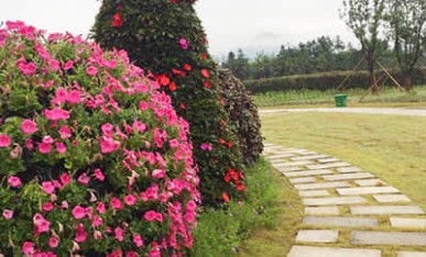 重庆花千谷花塔景观提升案例