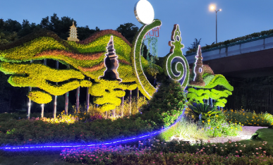 项目夜景展示