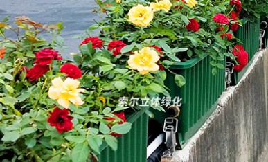 建德高架桥防撞栏绿化案例