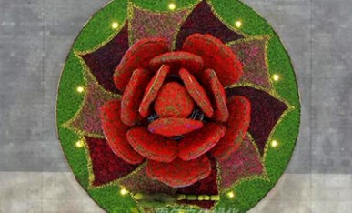 立体花坛《幸福花开》
