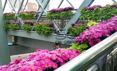 道路景观提升