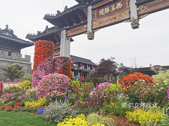 东台西溪古镇景区五一景观提升