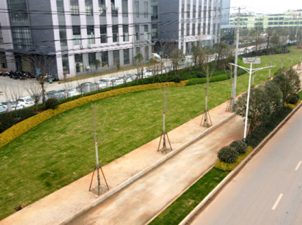 《境坝工业园大道》——南康城市道路景观提升