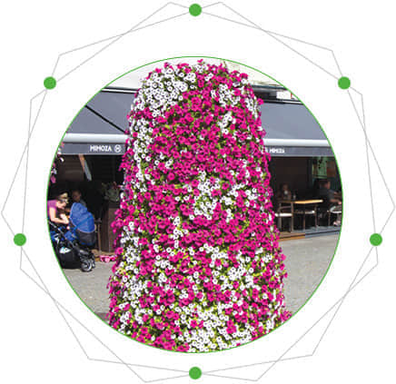 鲜花瀑布/拱门的特点