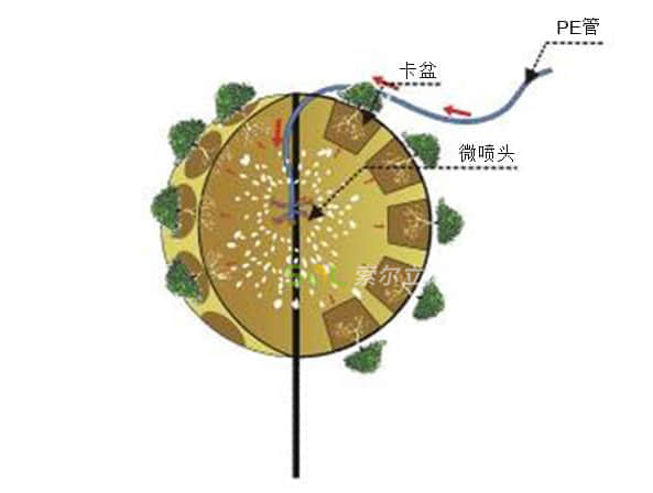 卡盆式景观花树灌溉示意图