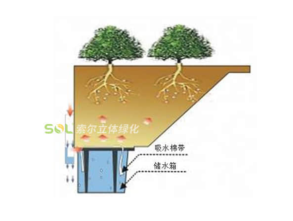 灯杆绿化-组合花盆系列灌溉示意图