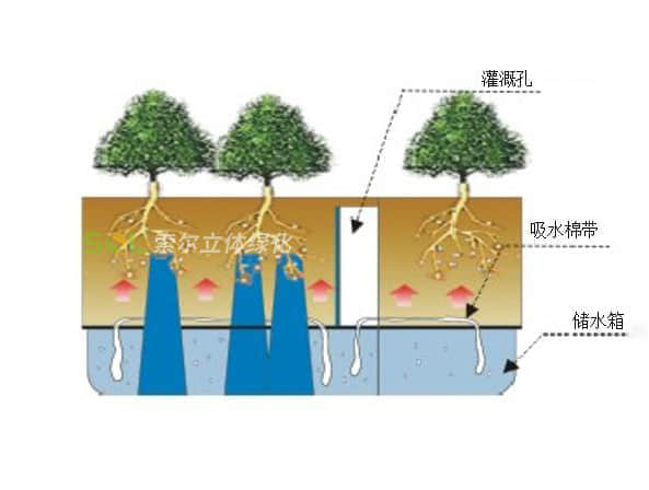植物墙-组合花盆灌溉示意图