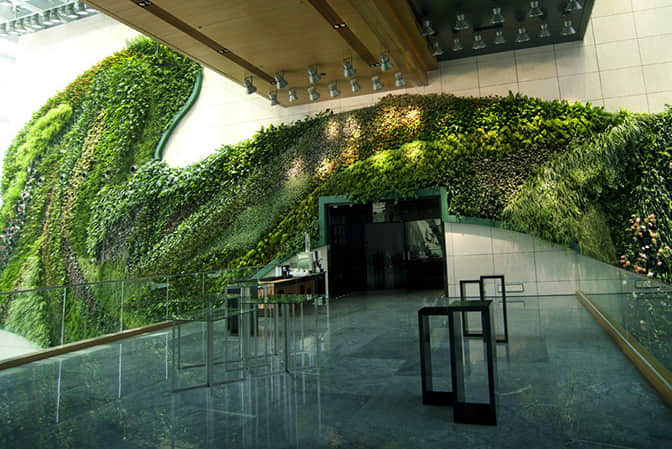 酒店宾馆景观提升室内植物墙垂直绿化