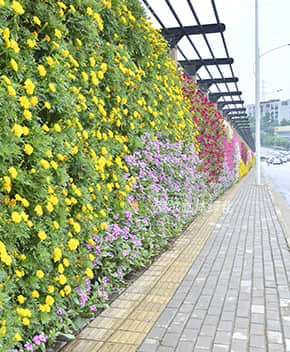 道路景观提升解决方案