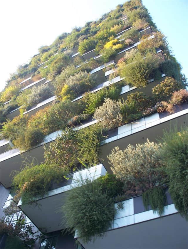 意大利米兰垂直森林Bosco Verticale (16).jpg