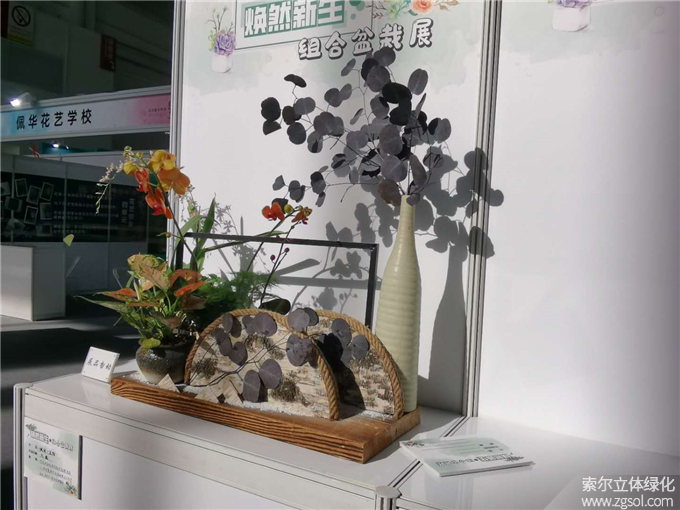 第二十二届中国国际花卉园艺展-索尔 (7).jpg