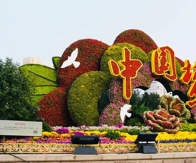 国庆立体花坛北京复兴门桥东北角“复兴伟业”-公众号子英画画01.jpg