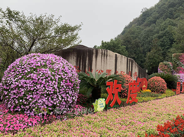 国庆杭州余杭广场景观提升