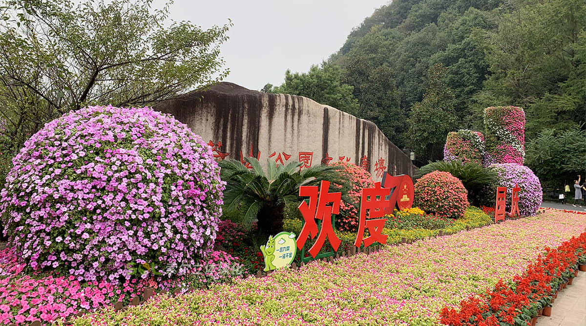 国庆杭州余杭广场景观提升