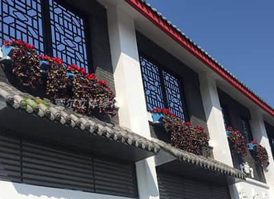 窗台阳台绿化美化