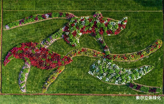 2020世界花园大会09.jpg