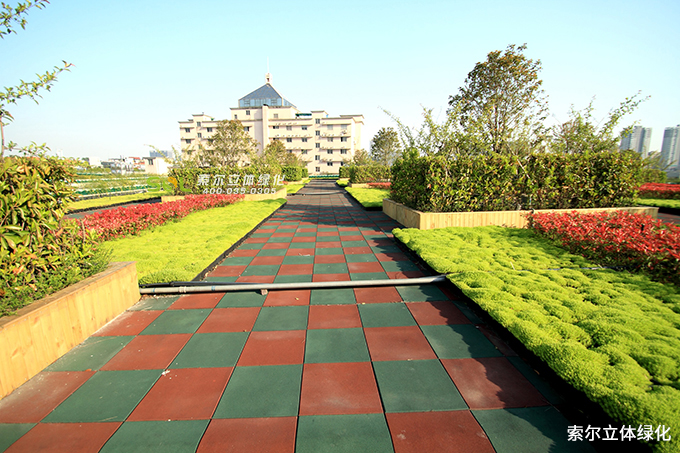 10索尔屋顶绿化屋顶花园.jpg