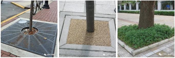 05树池改造.jpg
