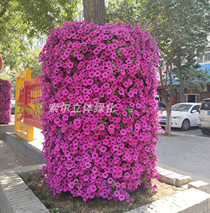 行道树绿化-花盆式组合造景