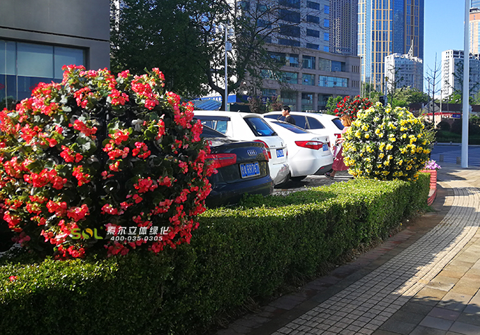 23景观花球-2018年5月山东青岛上合峰会景观花球项目 (24)-2.jpg