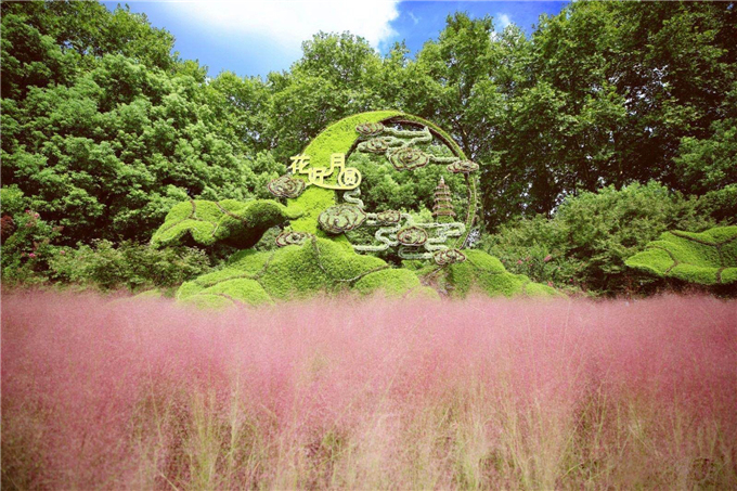 国庆立体花坛杭州西湖北线苏堤旁的“花好月圆”-杭州西湖风景名胜区管委会01.jpg
