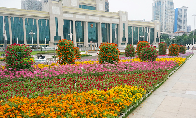 16组合花柱-广西南宁金湖广场 中国-东盟商务与投资峰会.jpg