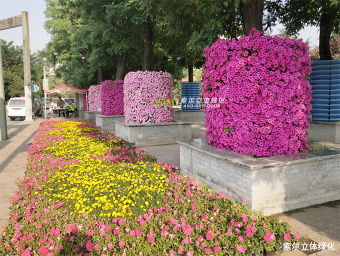01索尔行道树绿化 (4).jpg
