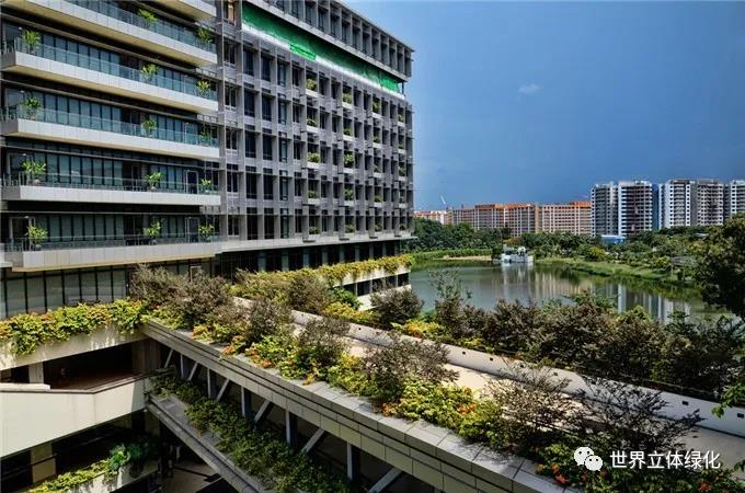 13新加坡邱德拔医院Khoo Teck Puat Hospital (3).jpg