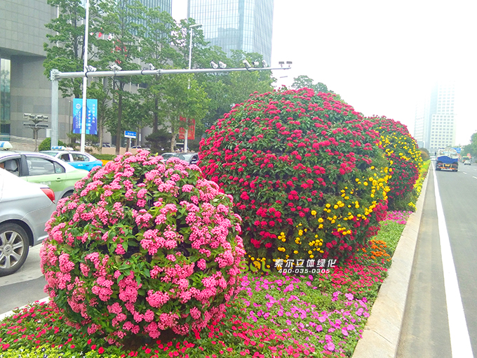 26景观大球-2018年5月山东青岛上合峰会景观花球项目 (60)-2.jpg