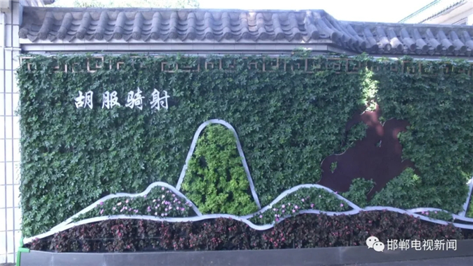 邯郸电视新闻：我市首例“墙上花园”亮相丛台公园 (4).jpg